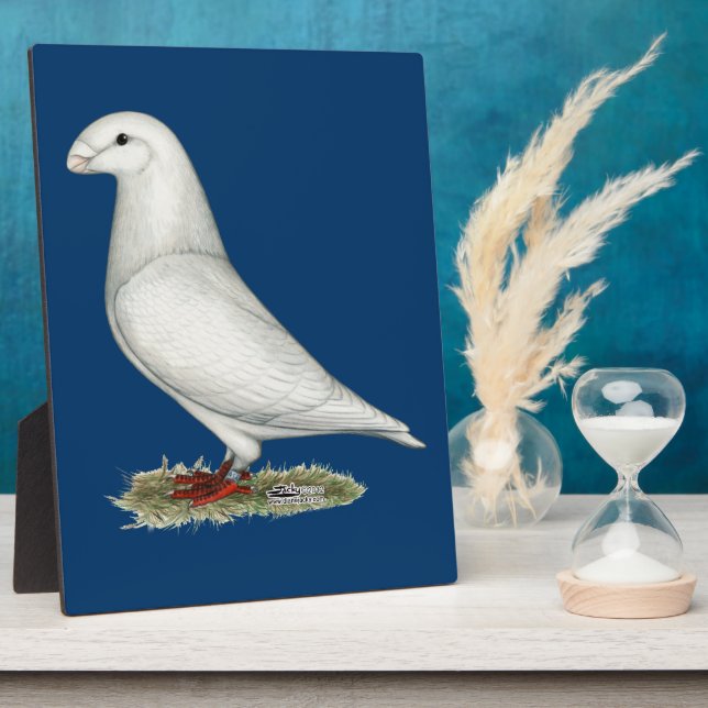 Placa Expositora Mostrar blanco de Racer (Lado)