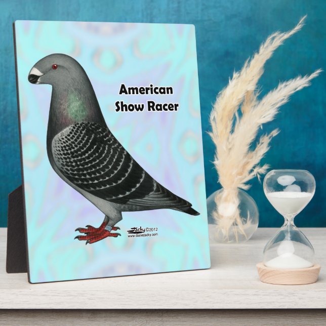 Placa Expositora Mostrar Racer ASR (Lado)