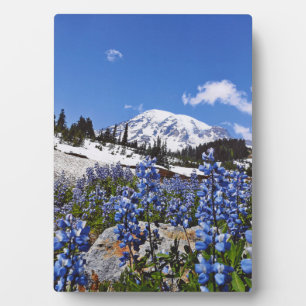 Placa Expositora Mount Rainier at Paradise Point