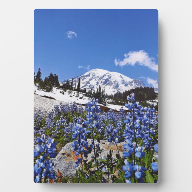 Placa Expositora Mount Rainier at Paradise Point (Frente)