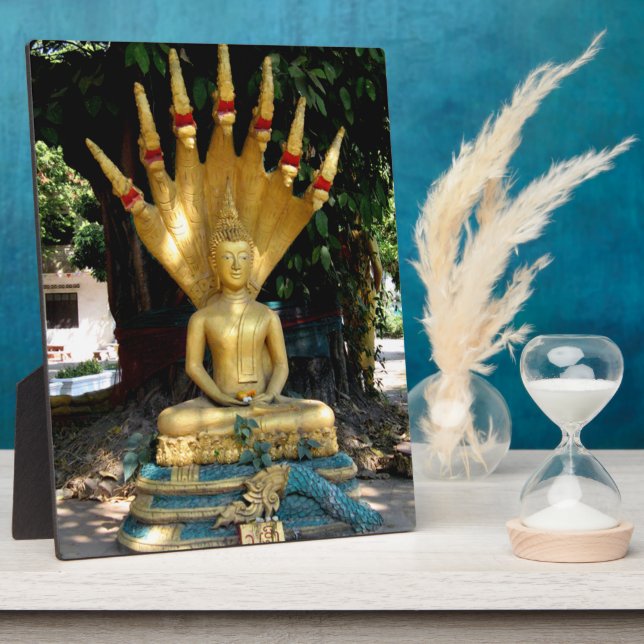 Placa Expositora Mucalinda (Lado)