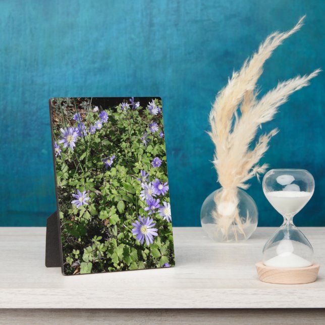 Placa Expositora Muchas flores (Lado)