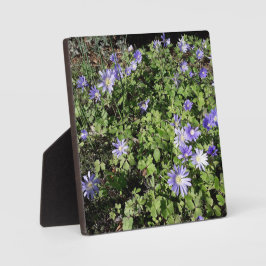 Placa Expositora Muchas flores