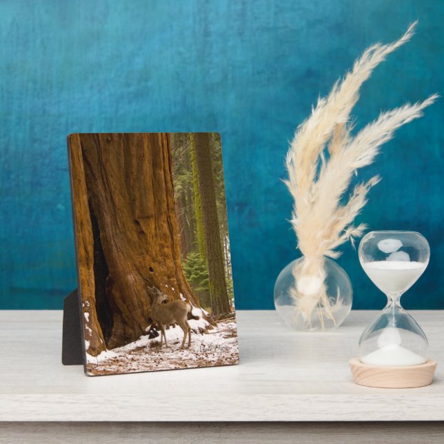 Placa Expositora Mule Deer (Lado)