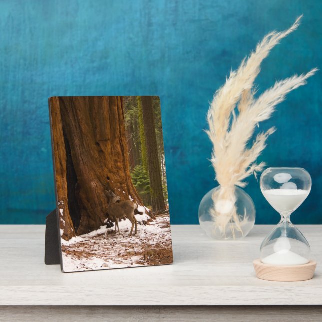 Placa Expositora Mule Deer (Lado)