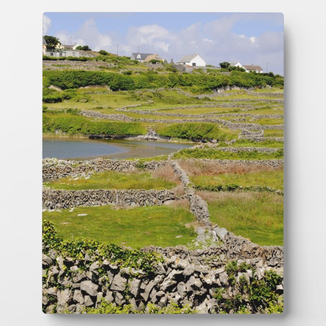 Placa Expositora Muros de piedra de Irlanda (Frente)