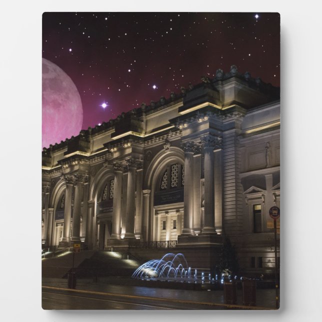 Placa Expositora Museo Metropolitano de Spacey (Frente)