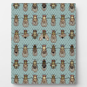 Placa Expositora Mutantes de Drosophila