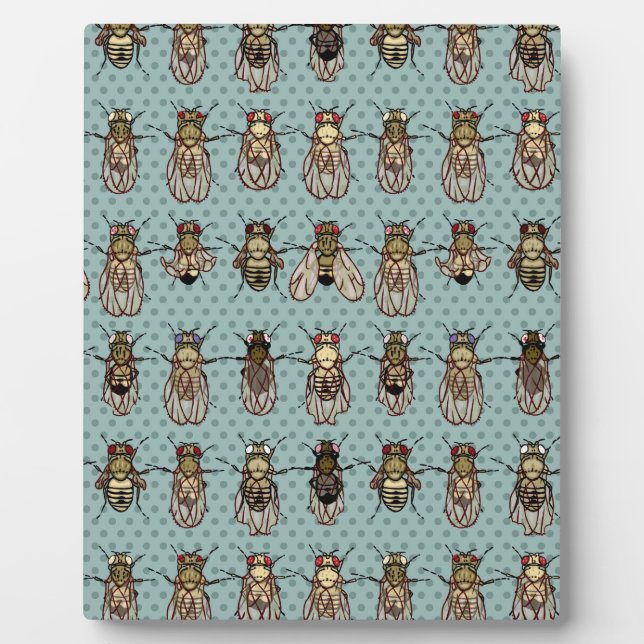 Placa Expositora Mutantes de Drosophila (Frente)