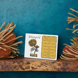 Placa Expositora Nacimiento Flor OCTUBRE Cumpleaños Marigold