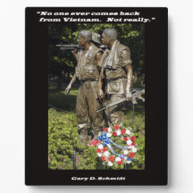 Nadie vuelve de Vietnam