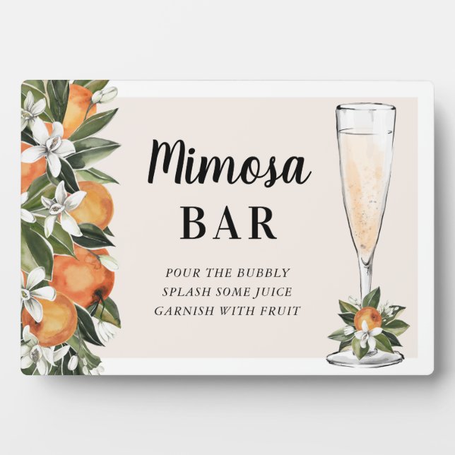 Placa Expositora Naranja Blossom Mimosa Bar (Frente)