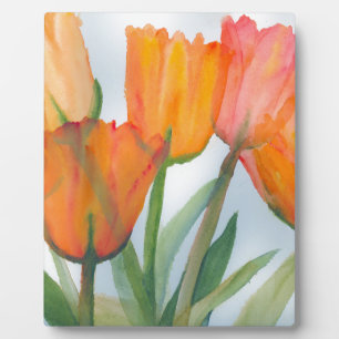 Placa Expositora Naranja Citrus Tulips