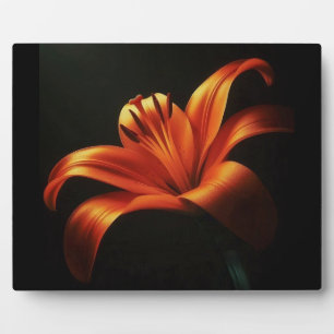 Placa Expositora Naranja Lily on Black