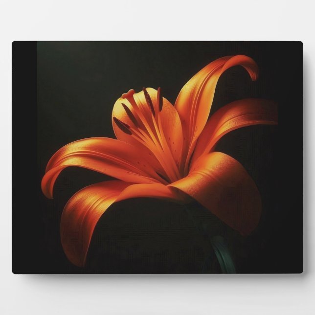 Placa Expositora Naranja Lily on Black (Frente)