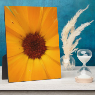 Placa Expositora Naranja Rain Daisy Plaque