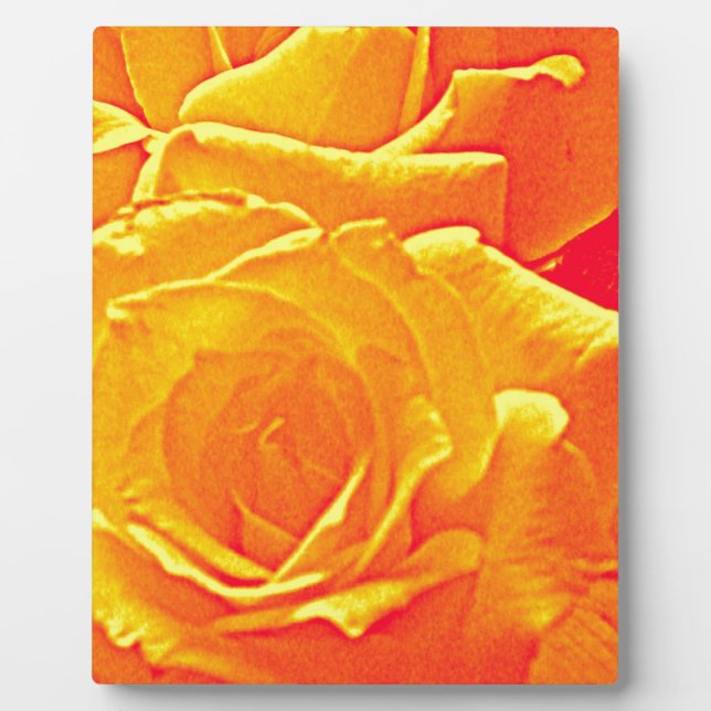 Placa Expositora naranja rosa fluorescente (Frente)