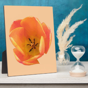 Placa Expositora Naranja Tulip Plaque