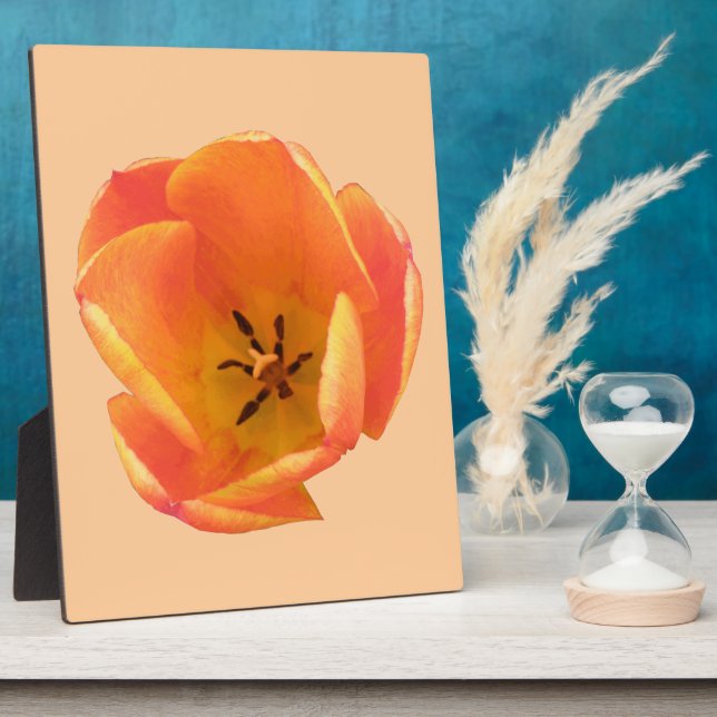 Placa Expositora Naranja Tulip Plaque (Lado)