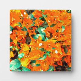 Placa Expositora Naranja vibrante Bougainvillea Flores