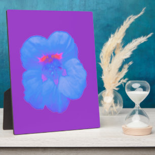 Placa Expositora Nasturtium Bright Blue Plaque