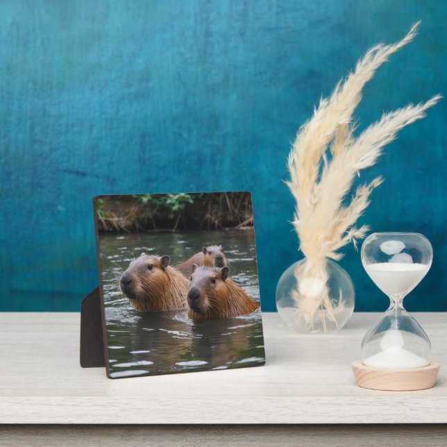 Placa Expositora Natación De Capybaras En El Río, (in situ)