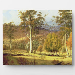 Placa Expositora Nativos en el bosque Eucalypt en llanuras de molin