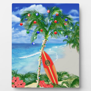 Placa Expositora Navidad de la playa