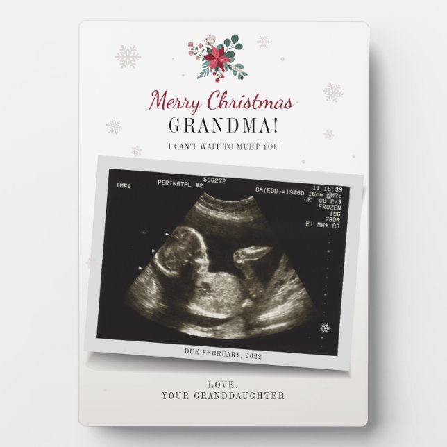 Placa Expositora Navidades Abuela Género revelan ultrasonido foto (Frente)