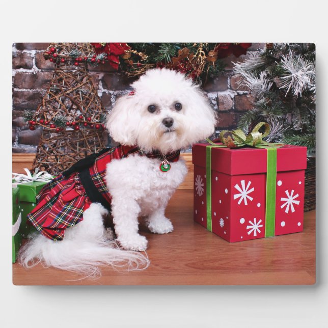 Placa Expositora Navidades - Bichon Frise - Mia (Frente)