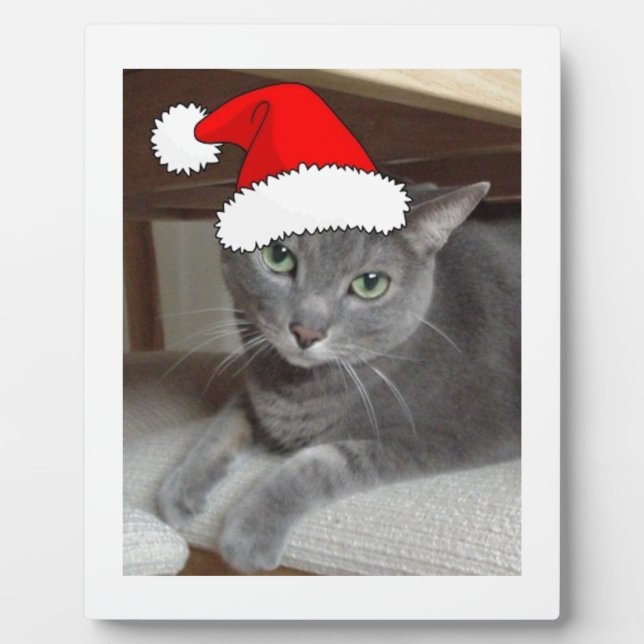 Placa Expositora Navidades de gato azul de Rusia (Frente)