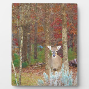 Placa Expositora Navidades Deer
