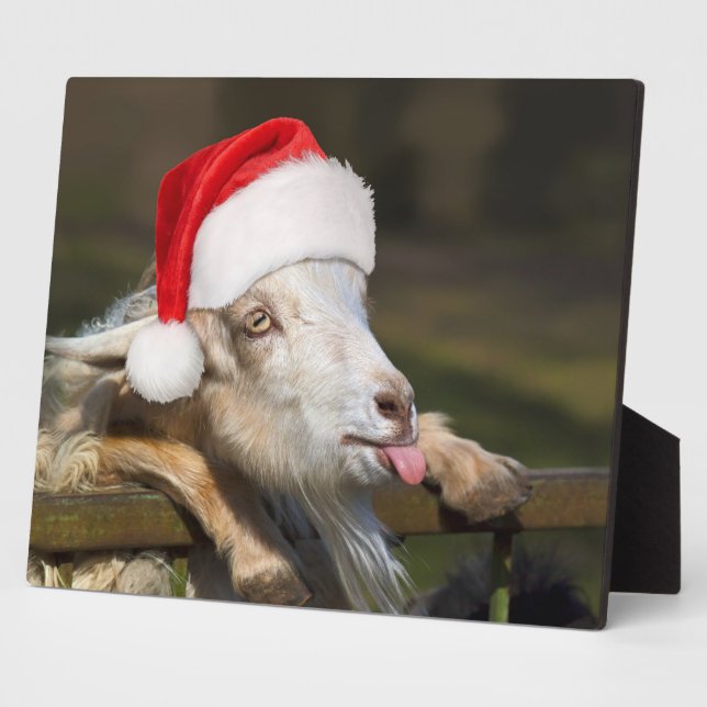 Placa Expositora Navidades Goat (Lado)
