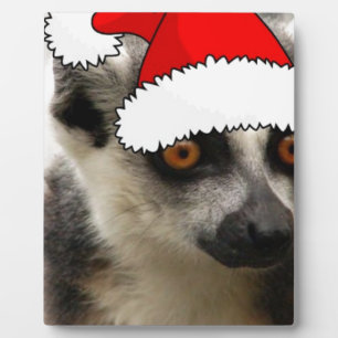Placa Expositora Navidades Lemur