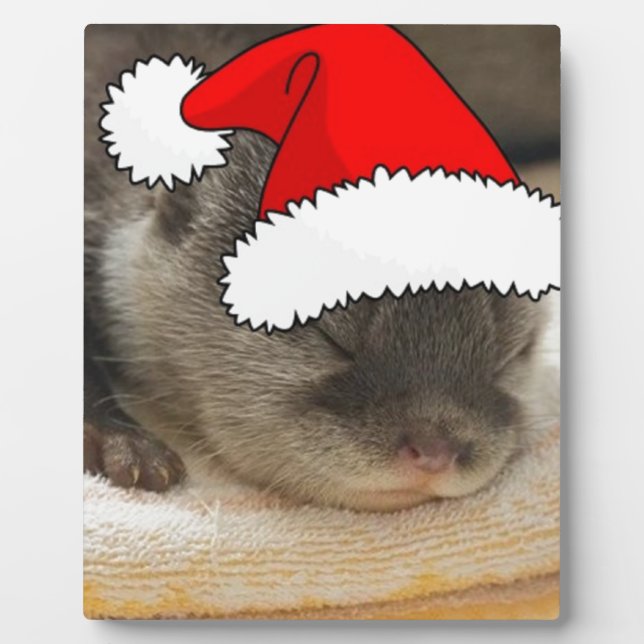 Placa Expositora Navidades Otter (Frente)