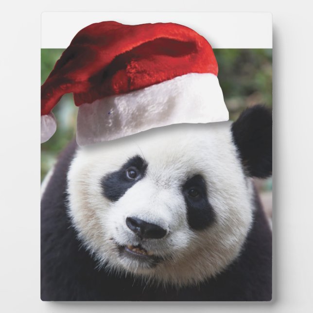 Placa Expositora Navidades Panda Bear (Frente)