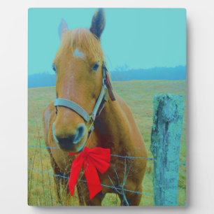 Placa Expositora navidades retro Caballo
