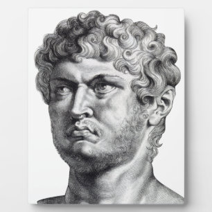 Placa Expositora Nero