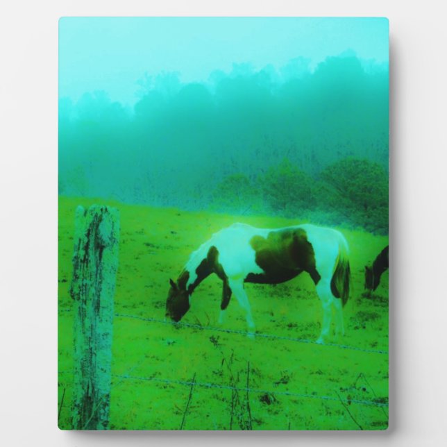 Placa Expositora Niebla verde azulada Reto pintado pony Caballo (Frente)