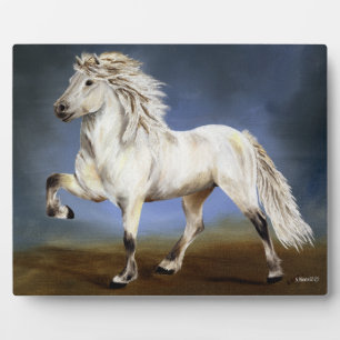 Placa Expositora Nobleza