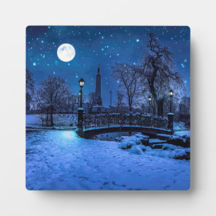 Placa Expositora Noche de invierno mágica con cielo estrellado y lu