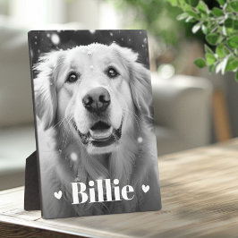 Placa Expositora Nombre de gato perro mascota corazones