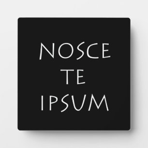 Placa Expositora Nosce te ipsum