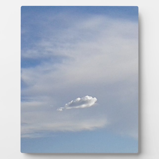Placa Expositora Nube Y Nube (Frente)