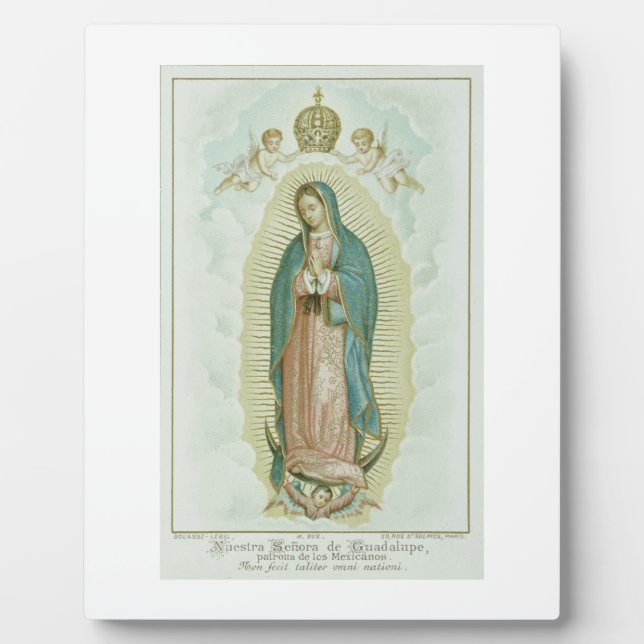 Placa Expositora Nuestra Señora De Guadalupe (Frente)