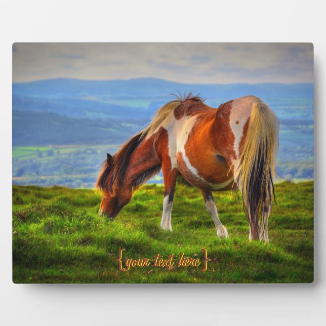 Placa Expositora Nueva Sangre En El Dartmoor (Frente)