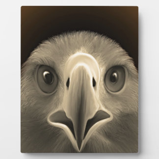 Placa Expositora Ojos de águila