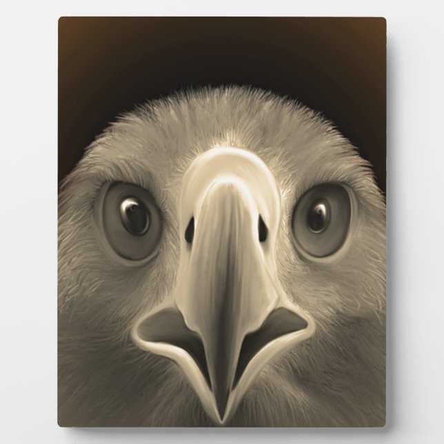 Placa Expositora Ojos de águila (Frente)