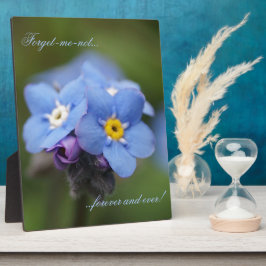 Placa Expositora ¡Olvídate de mí para siempre y para siempre!