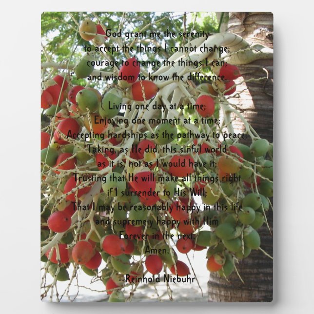 Placa Expositora Oración de serenidad (Frente)